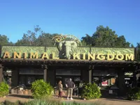 Animal kingdom Animal kingdom