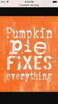 Pumpkin Pie