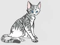 Ivypool