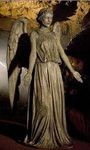 Weeping Angel Weeping Angel
