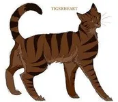 Tigerheart Tigerheart
