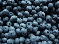 Blueberry Blueberry