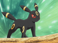 Umbreon Umbreon