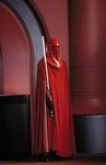 The Imperial guard The Imperial guard