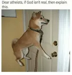 mor than 1 mor than 1