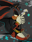 Shadow 5 Shadow 5