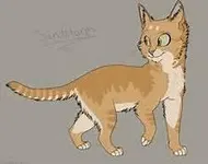 sandstorm sandstorm