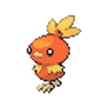 #255 Torchic