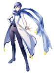 Kaito Kaito