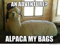 Alpacas Alpacas