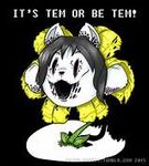 TemMiE