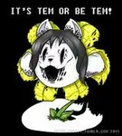 TemMiE