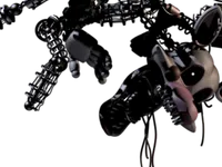 Mangle Mangle