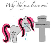 "Why did you leave me?" "Why did you leave me?"