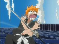 ichigo ichigo
