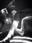 Black & white? Black & white?