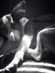 Black & white? Black & white?