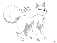 Cloudtail