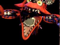 Old Foxy Old Foxy