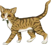 Leafpool!