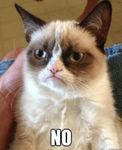 Neither. Neither.