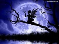 Fairies Fairies