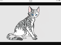 Ivypool Ivypool