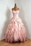 Pink ruffles Pink ruffles