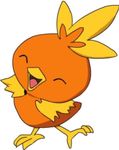 Torchic Torchic