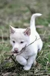 Pick me!