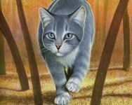 Silverstream Silverstream