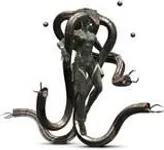 Laughing octopus