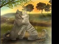 graystripe and silverstream graystripe and silverstream
