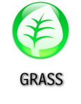 Grass Grass