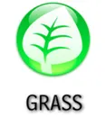 Grass Grass