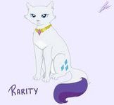Rarity cat form Rarity cat form