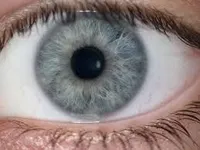Gray or is it Grey?