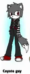 Cody the Coyote Cody the Coyote