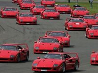 Cars Cars