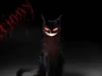 Grinny Cat