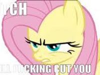 Fluttershy
