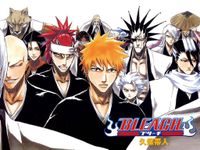 Bleach Bleach