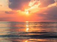 sunset sunset
