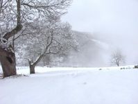 Cold Cold