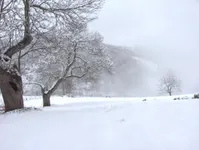 Cold Cold