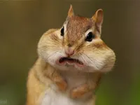 Smile for the camera
