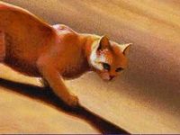 Sandstorm Sandstorm