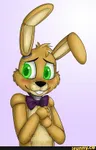 SpringBonnie SpringBonnie