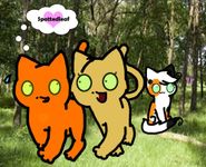 NO! Firestar and Sandstorm Forever! NO! Firestar and Sandstorm Forever!