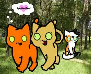 NO! Firestar and Sandstorm Forever! NO! Firestar and Sandstorm Forever!